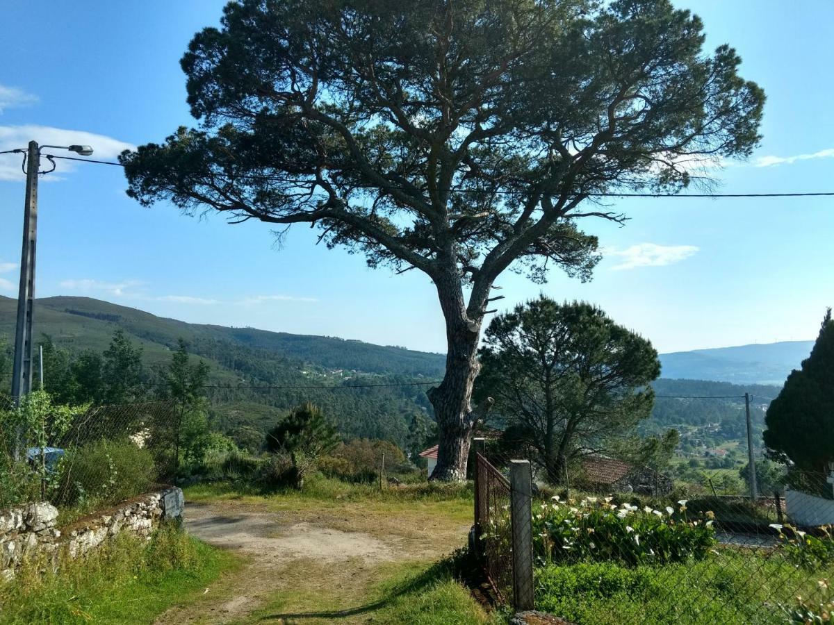 巴伦西亚Casa Do Pinheiro Manso别墅 外观 照片